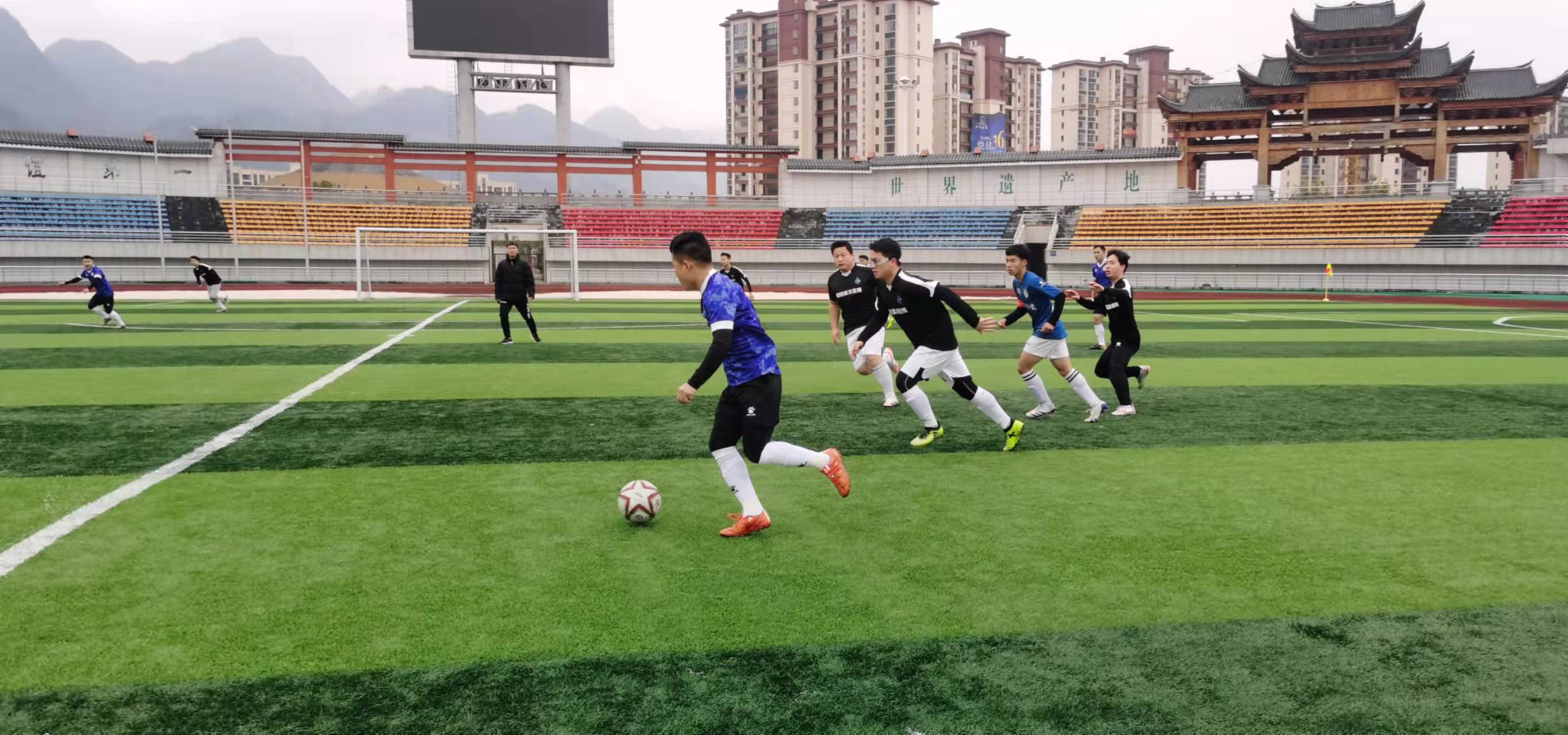 向与策略的